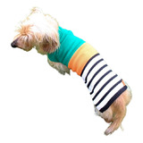 Roupa De Tricô Para Dachshund teckel Listra Verde P