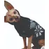 Roupa P/cachorro E Gato Sphynx Em Lã Tam. Pp.p.m