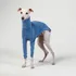 Roupa Para Cachorro Galgo Italiano Lisa Azul