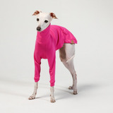 Roupa Para Cachorro Galgo Whippet Lisa Pink