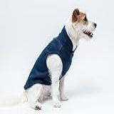 Roupa Para Cachorros E Gatos Roupas Pet Soft Roupa Para Pet Roupa Para Frio Azul 2 