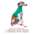 Roupa Para Whippet (galgo)  Em Lã. Tam. M.g.gg.