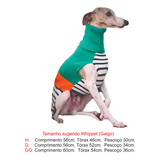 Roupa Para Whippet
