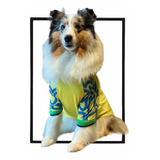 Roupa Pet Camiseta Roupinha Proteção Futebol Brasil Amarela