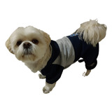 Cachorro