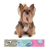 Roupa Pet My Dream Macio Frio Inverno Cachorro Gato Pequena