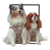Roupa Pet Roupinha Frio Cachorro Soft Tamanho G1 A G3
