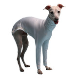 Roupa Pet Roupinha Galgo Whippet Proteção Uv50 Branca Petjr