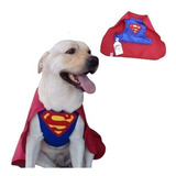 Roupa Pet Superman Para