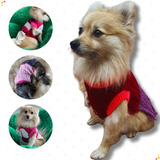 Roupa Pet Vestido Barbie Femea Mini Micro Cachorro Gato