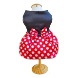 Roupa Pet Vestido Fantasia