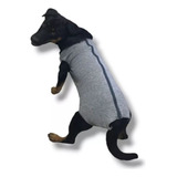Roupa Pos Cirurgica Cachorros