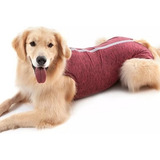 Roupa Pós Cirurgica Com Zíper Para Cães Femea Tamanho 11 