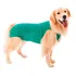 Roupa Pós Cirúrgica P/ Cães Unissex Macho Fêmea Nº6 + Brinde