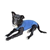 Roupa Pós-cirúrgica Para Cães Machos Pet Med Nº 00