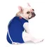 Roupa Pós Cirúrgica Para Cães Nº 8 - Buldog Francês
