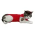 Roupa Pós Cirúrgica Para Gatos (fêmeas) - Tamanho 1, 2, 3