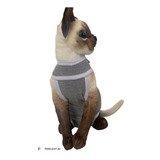 Roupa Pós Cirúrgica Para Gatos unissex Tam 0 Ao 5