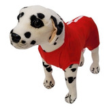 Roupa Pós Cirúrgica Pet Para Machos E Fêmeas Tam 4