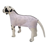 Roupa Pós Cirúrgica Pet Para Machos E Fêmeas Tam 5