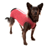 Roupa Pos Cirurgica Pet
