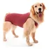 Roupa Protetora Pós Cirúrgica Cachorro Unissex Nº9 + Brinde