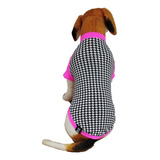 Roupa Roupinha Pet Camiseta Verão Neon Com Proteção Uv Xg