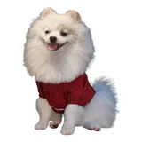 Roupa Roupinha Pra Cachorro