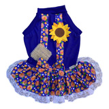 Roupas Cães Cachorro Malha Fêmea Festa Junina Azul