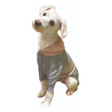 Roupas Pet De La