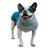 Roupinha De Cachorro Luxo Tamanho M Para Pets Pequenos Verde