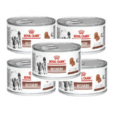 Royal Canin 5 Latas