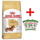 Royal Canin Dachshund Adulto 7 5kg