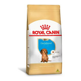 Royal Canin Dachshund Junior 2 5kg