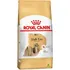 Royal Canin Para Cães Adultos Da Raça Shih Tzu 2,5kg