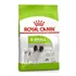 Royal Canin Ração Cães Adulto Porte Mini X-small Adult 1kg