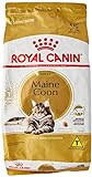 ROYAL CANIN Ração Feline Maine Coon 4Kg