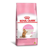 Royal Canin Ração Para Gatos Castrados