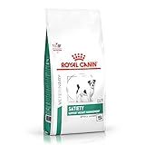 ROYAL CANIN Ração Royal Canin Canine