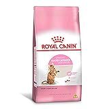 ROYAL CANIN Ração Royal Canin Feline