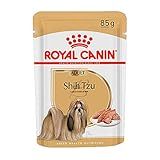 ROYAL CANIN Ração Sachê Shih Tzu Wet 85G