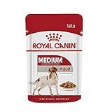 ROYAL CANIN Ração Umida Royal Canin Medium Para Cães Adultos 140G Royal Canin Para Todas Médio Adulto   Sabor Outro