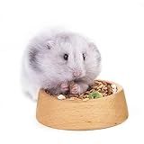 Rubor Tigela De Comida Para Hamster Tigela De Alimentação De Porquinho Da índia De Madeira Para Animais Pequenos Hamster Anão Ratos Gerbil Degu Esquilo Ouriço Grande 