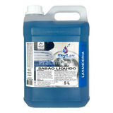 Sabão Líquido Concentrado Lava Roupas Profissional 5 L