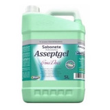 Sabonete Antisseptico Asseptgel 5 Litros Erva Doce