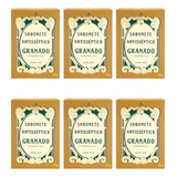Sabonete Granado 90g Antisseptico Tradicional kit C 6un