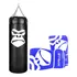Saco De Pancada 100x90   Luva Bate saco Pro Gorilla  Cor Azul