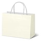 Sacola De Papel Branca Presente Resistente M 30 X 23 X 10cm Pacote 50 Unidades