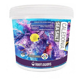 Reeflowers