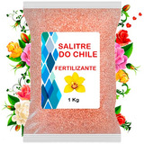 Salitre Do Chile Fertilizante Adubo Grama Hortaliça Flores
